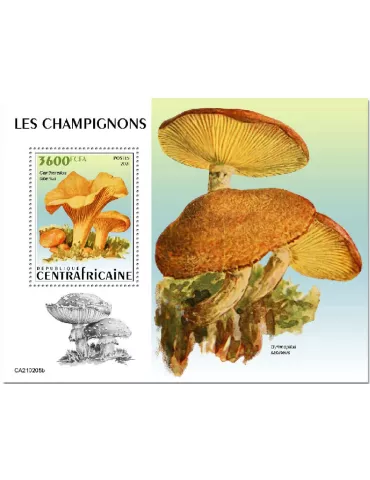 n° 1748 - Timbre CENTRAFRIQUE Blocs et feuillets