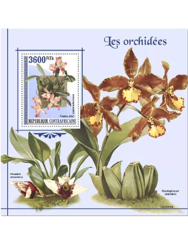 n° 1780 - Timbre CENTRAFRIQUE Blocs et feuillets