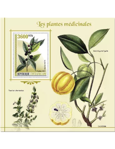 n° 1782 - Timbre CENTRAFRIQUE Blocs et feuillets