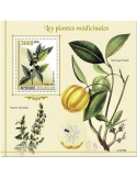 n° 1782 - Timbre CENTRAFRIQUE Blocs et feuillets