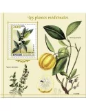 n° 1782 - Timbre CENTRAFRIQUE Blocs et feuillets