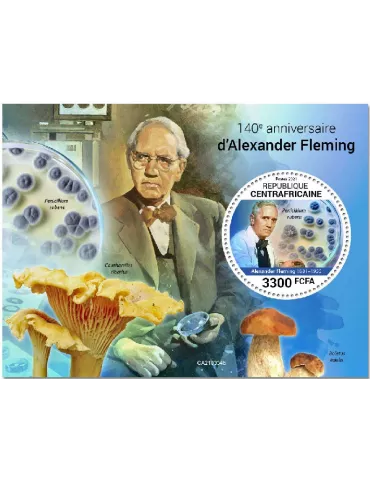 n° 1807 - Timbre CENTRAFRIQUE Blocs et feuillets