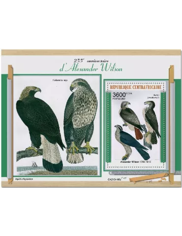 n° 1828 - Timbre CENTRAFRIQUE Blocs et feuillets