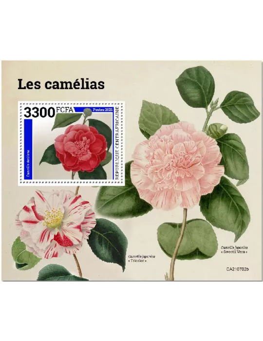 n° 1906 - Timbre CENTRAFRIQUE Blocs et feuillets