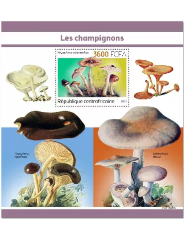 n° 1933 - Timbre CENTRAFRIQUE Blocs et feuillets