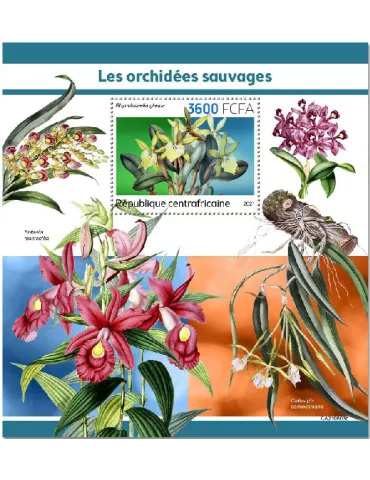 n° 1935 - Timbre CENTRAFRIQUE Blocs et feuillets