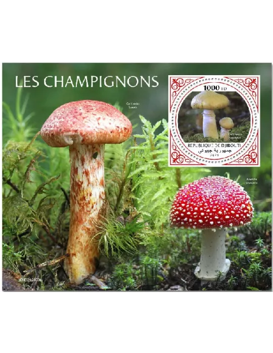 n° 712 - Timbre DJIBOUTI Blocs et feuillets