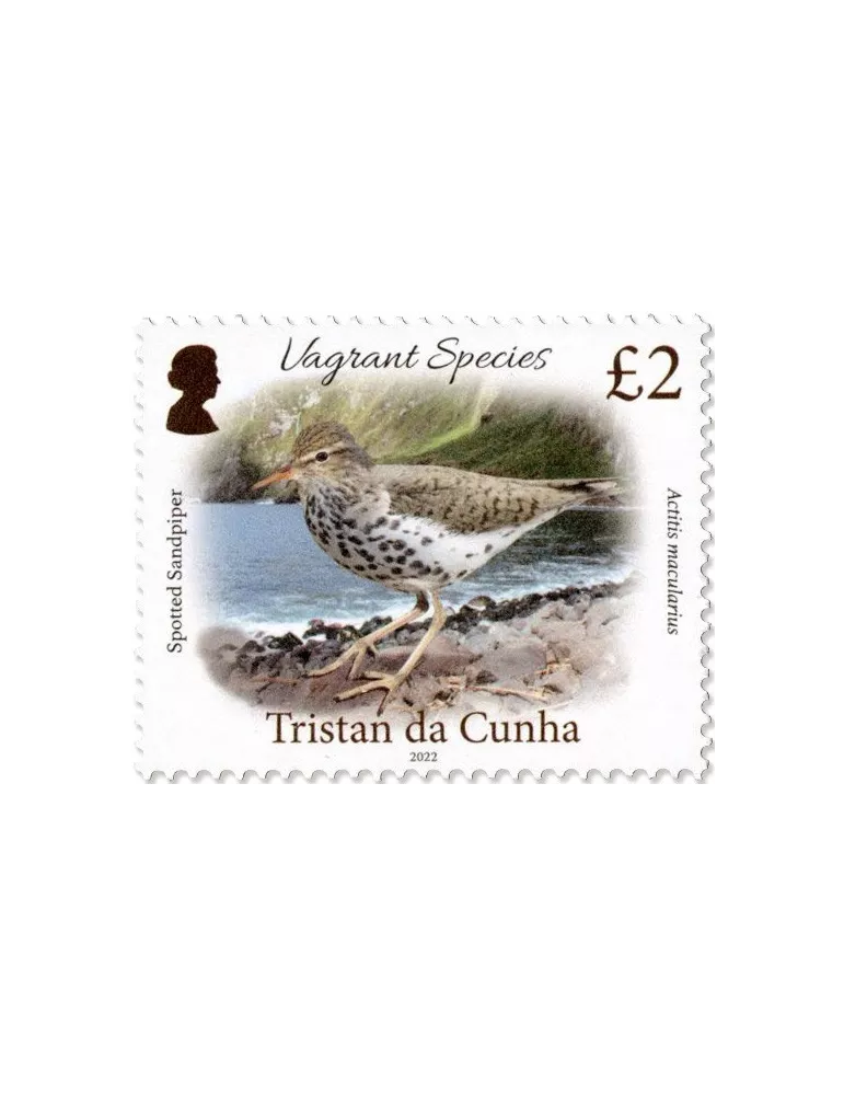 n° 1318/1321 - Timbre TRISTAN DA CUNHA Poste