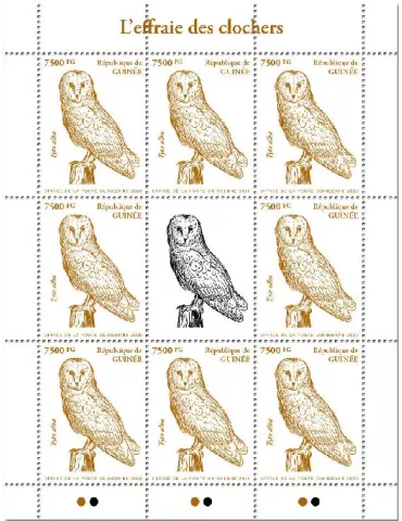 n° 10503 - Timbre GUINEE Poste