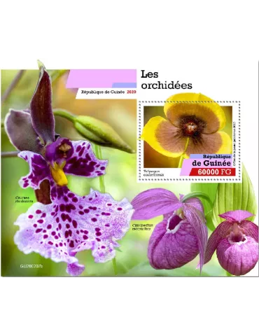 n° 2528 - Timbre GUINEE Blocs et feuillets