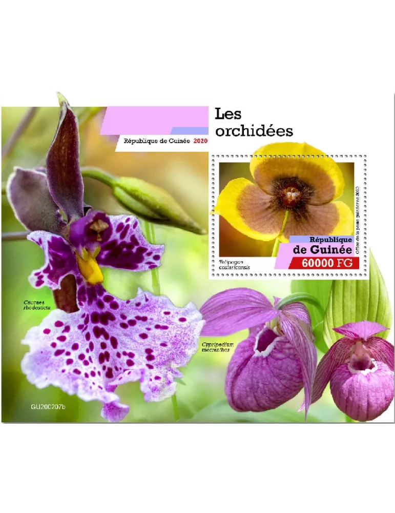 n° 2528 - Timbre GUINEE Blocs et feuillets