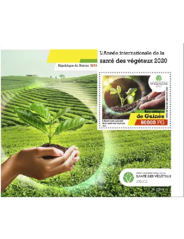 n° 2558 - Timbre GUINEE Blocs et feuillets