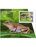 n° 2584 - Timbre GUINEE Blocs et feuillets