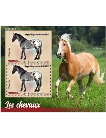 n° 2601 - Timbre GUINEE Blocs et feuillets