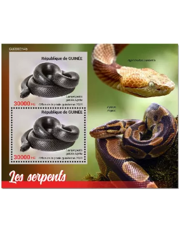 n° 2606 - Timbre GUINEE Blocs et feuillets