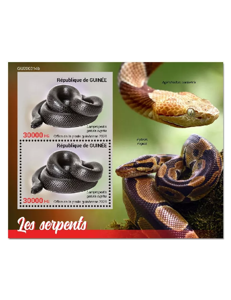 n° 2606 - Timbre GUINEE Blocs et feuillets