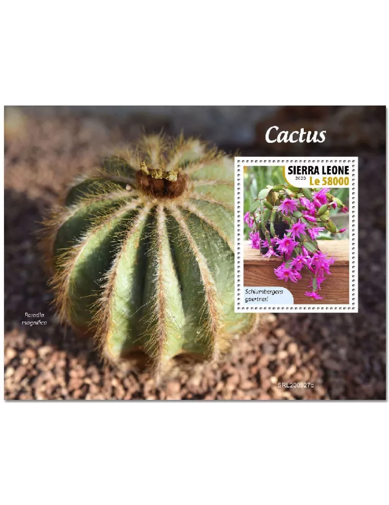 n° 2014 - Timbre SIERRA LEONE Blocs et feuillets