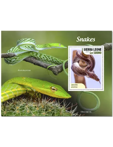 n° 2019 - Timbre SIERRA LEONE Blocs et feuillets