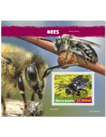 n° 2050 - Timbre SIERRA LEONE Blocs et feuillets