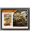 n° 1202 - Timbre NIGER Blocs et feuillets