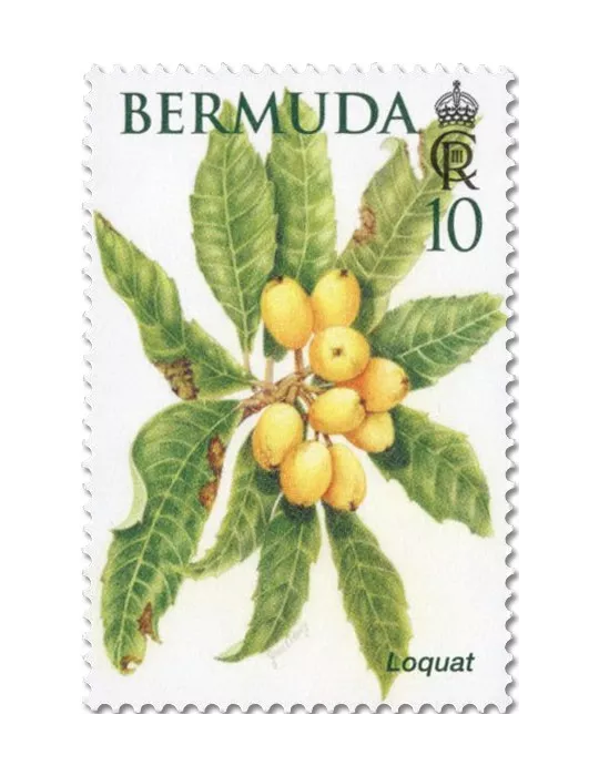 n° 1214/1219 - Timbre BERMUDES Poste