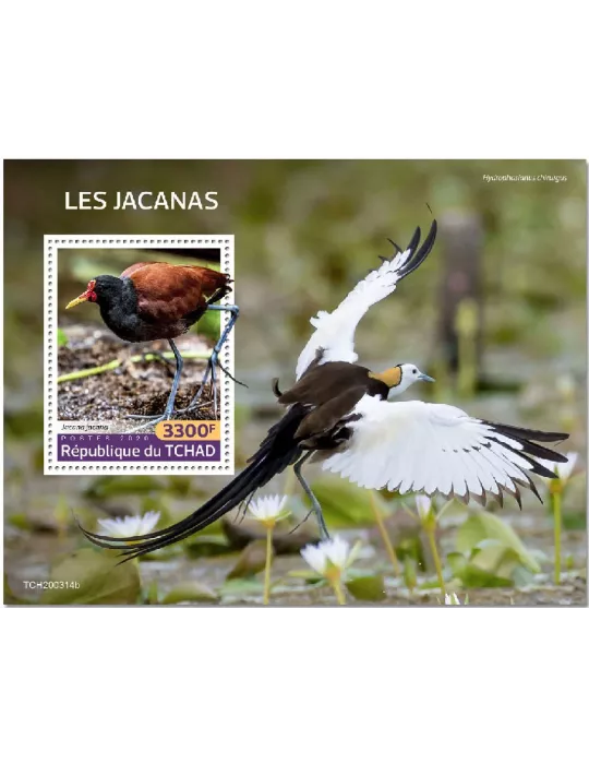 n° 329 - Timbre TCHAD Blocs et feuillets