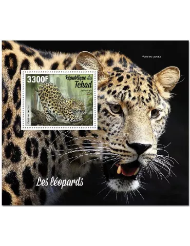 n° 363 - Timbre TCHAD Blocs et feuillets