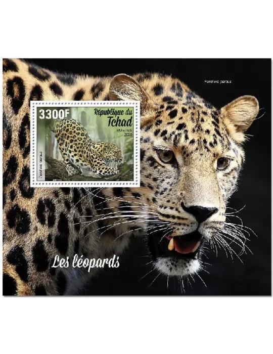 n° 363 - Timbre TCHAD Blocs et feuillets