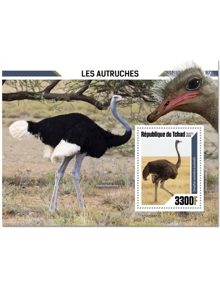 n° 376 - Timbre TCHAD Blocs et feuillets