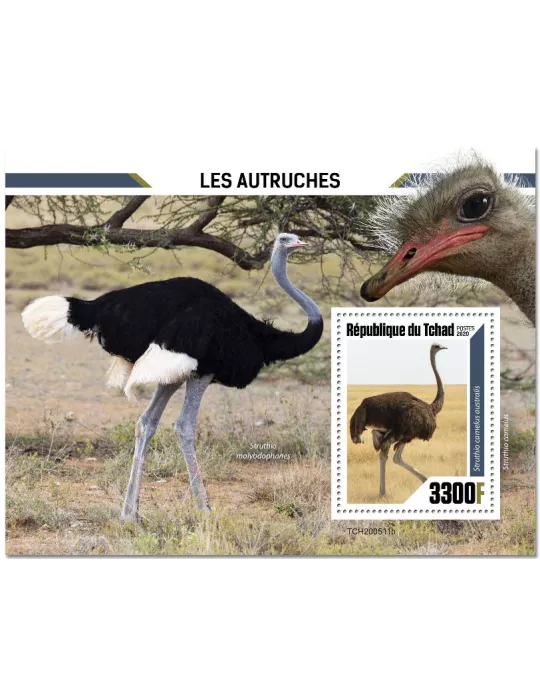 n° 376 - Timbre TCHAD Blocs et feuillets