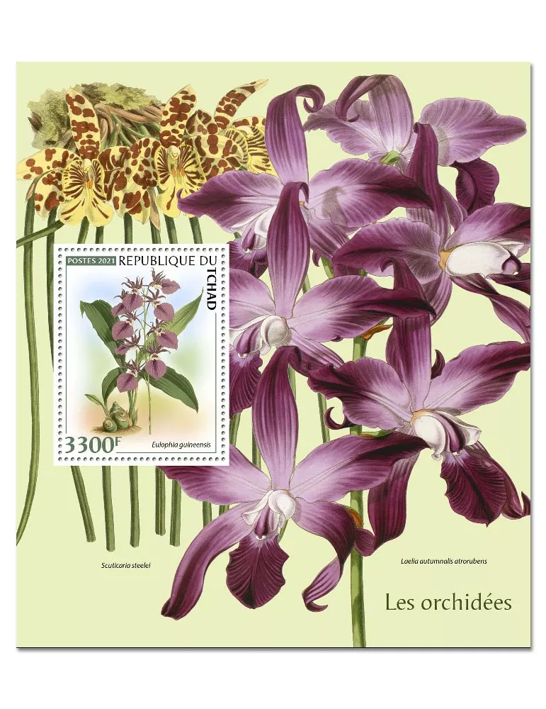 n° 422 - Timbre TCHAD Blocs et feuillets