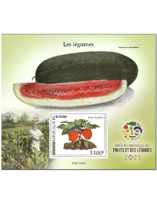 n° 423 - Timbre TCHAD Blocs et feuillets