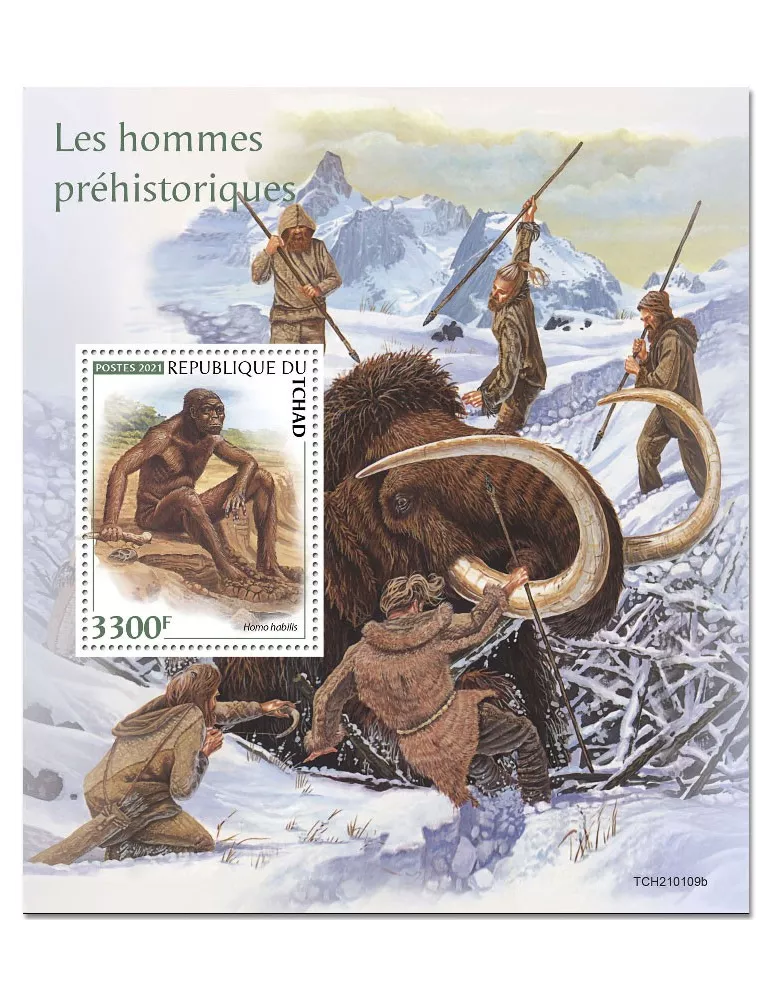 n° 429 - Timbre TCHAD Blocs et feuillets