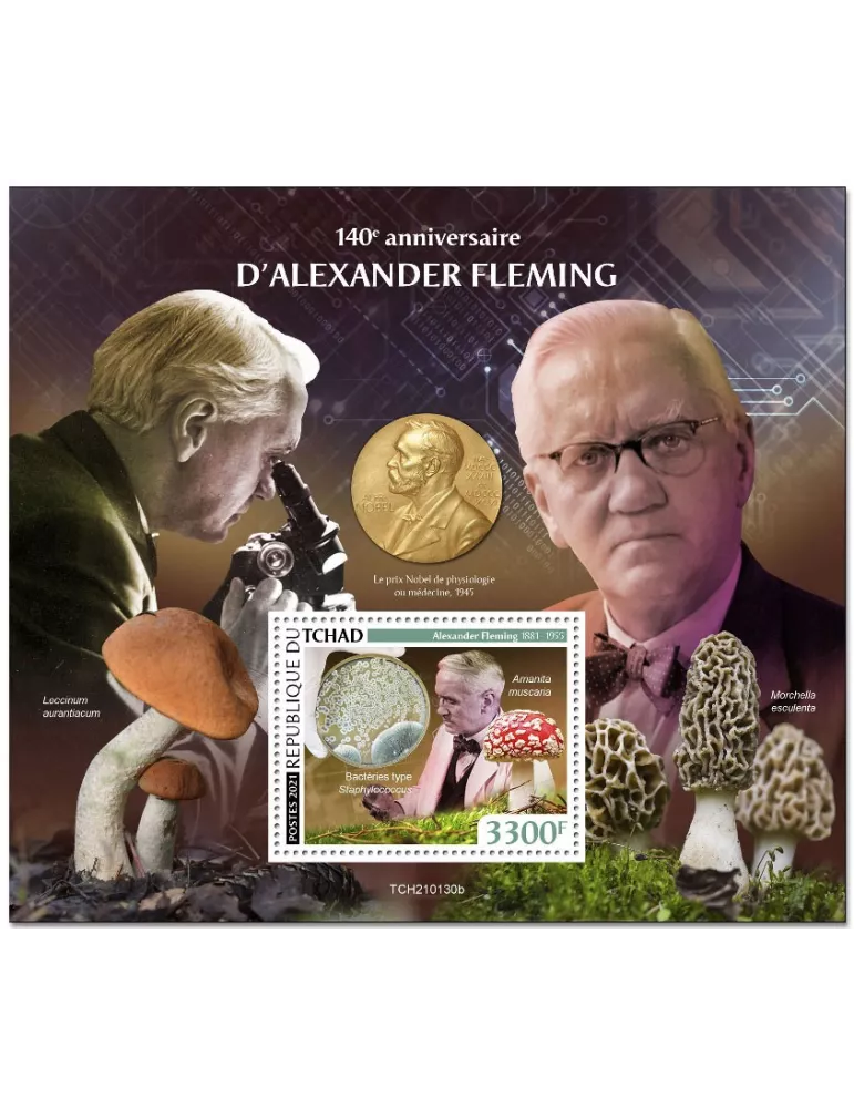 n° 450 - Timbre TCHAD Blocs et feuillets