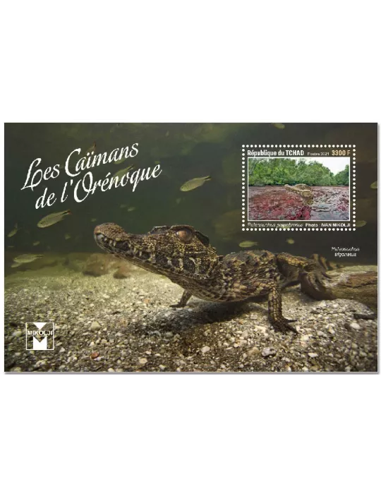 n° 473 - Timbre TCHAD Blocs et feuillets