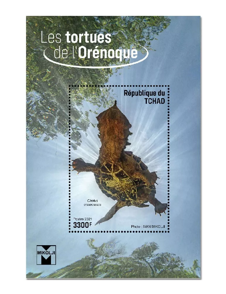 n° 476 - Timbre TCHAD Blocs et feuillets