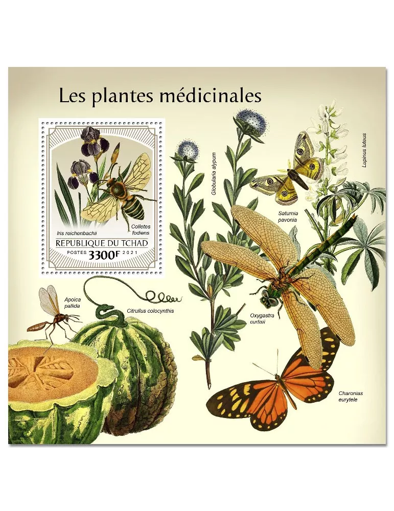 n° 500 - Timbre TCHAD Blocs et feuillets