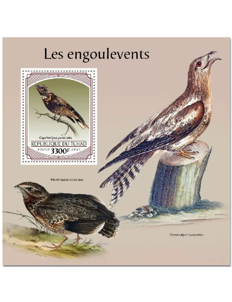 n° 513 - Timbre TCHAD Blocs et feuillets