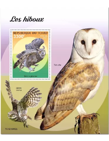 n° 556 - Timbre TCHAD Blocs et feuillets