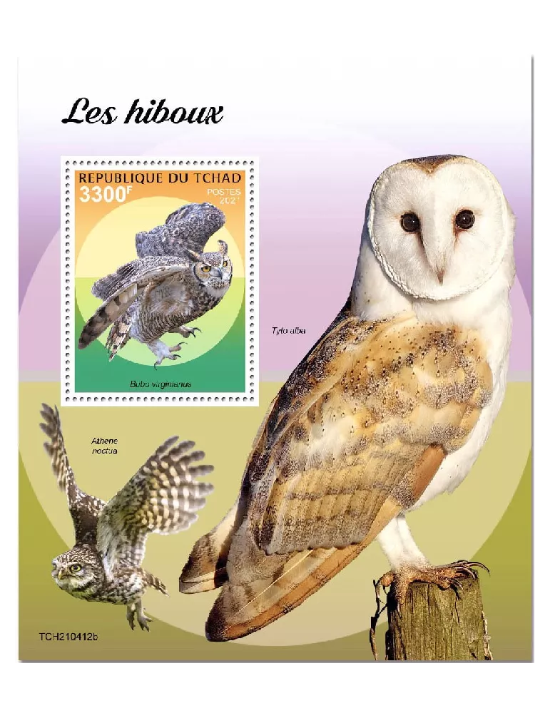 n° 556 - Timbre TCHAD Blocs et feuillets