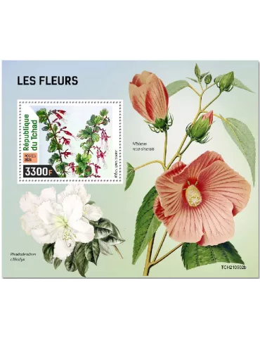 n° 585 - Timbre TCHAD Blocs et feuillets