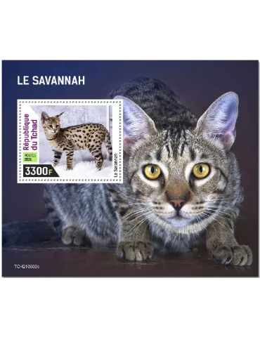 n° 586 - Timbre TCHAD Blocs et feuillets