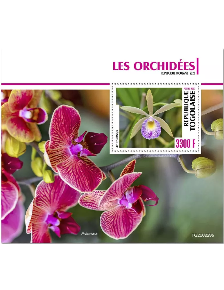 n° 1928 - Timbre TOGO Blocs et feuillets