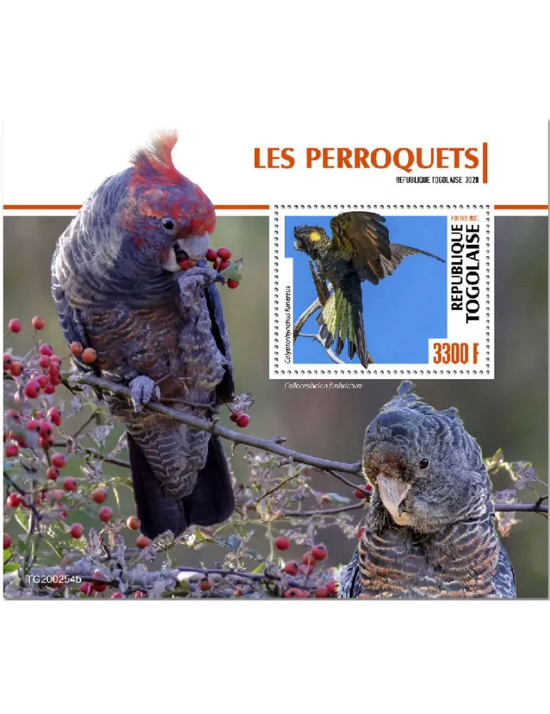 n° 1953 - Timbre TOGO Blocs et feuillets