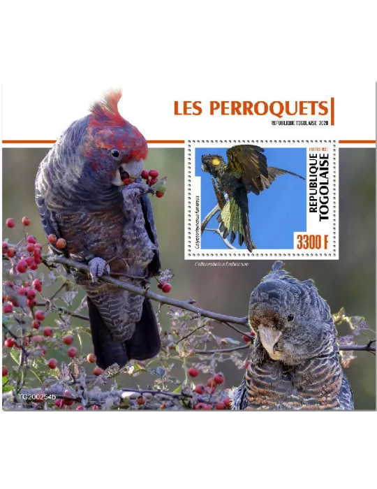 n° 1953 - Timbre TOGO Blocs et feuillets