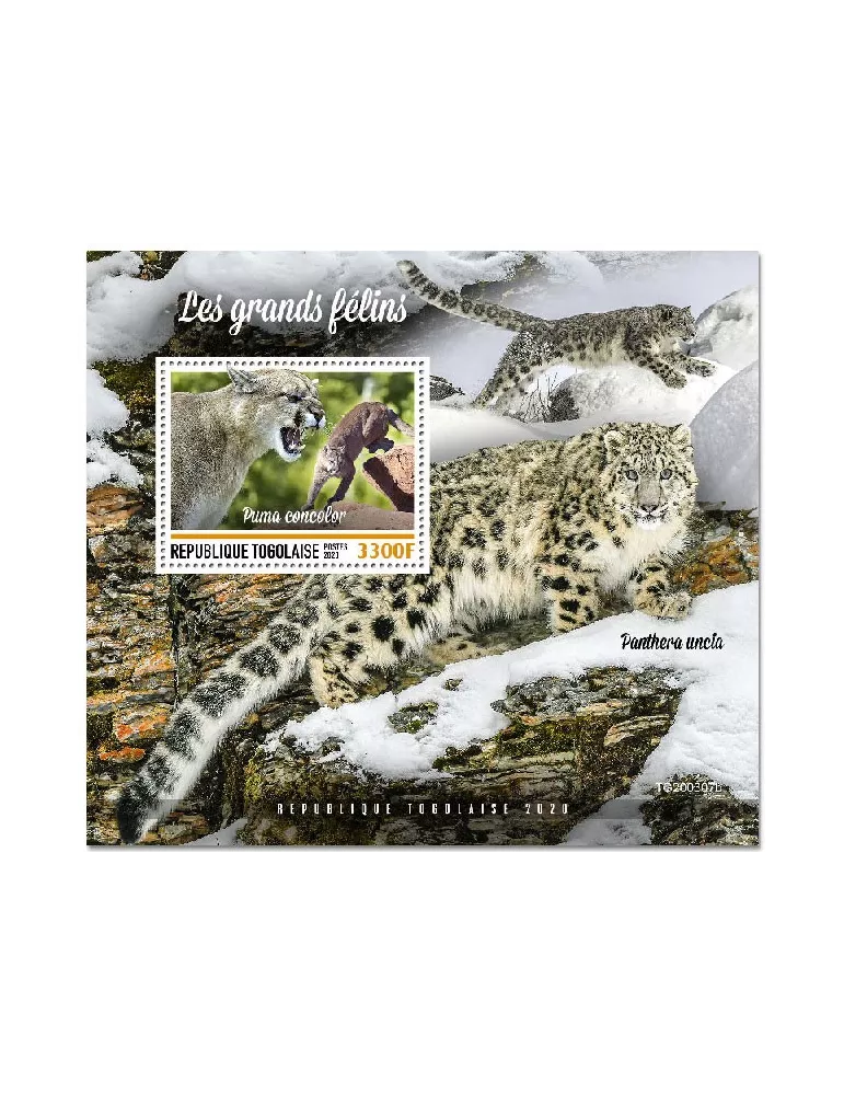 n° 1963 - Timbre TOGO Blocs et feuillets