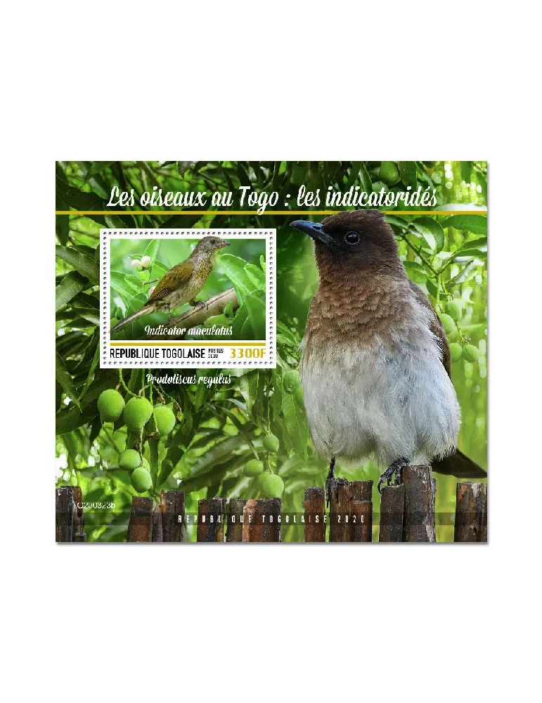 n° 1978 - Timbre TOGO Blocs et feuillets