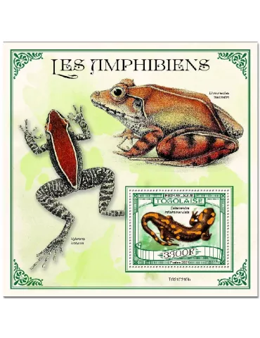 n° 2108 - Timbre TOGO Blocs et feuillets