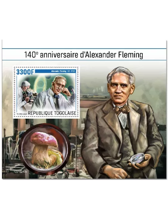 n° 2143 - Timbre TOGO Blocs et feuillets