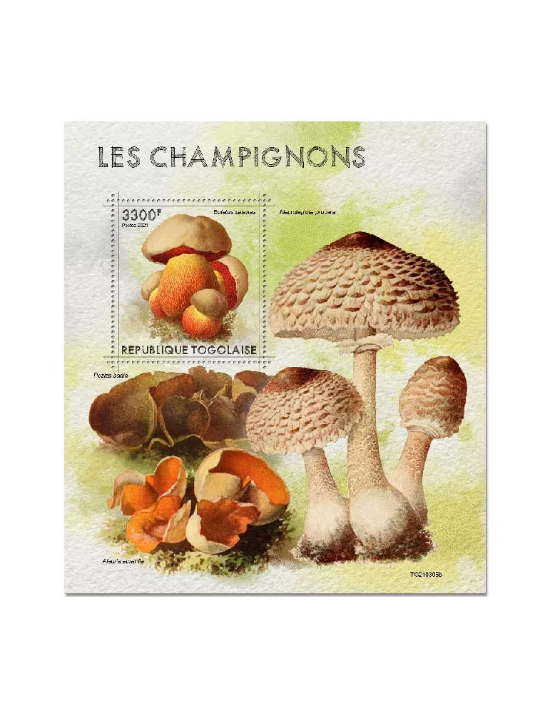 n° 2157 - Timbre TOGO Blocs et feuillets